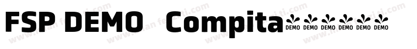 FSP DEMO   Compita字体转换